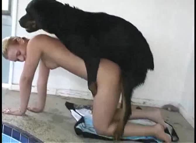 Video :Blonde k9 lady got banged by a big black dog